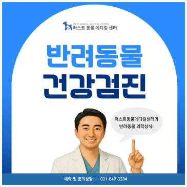 반려동물 건강검진을 받으려는데, 언제·무엇을 확인할까요? 병원 블로그 표지